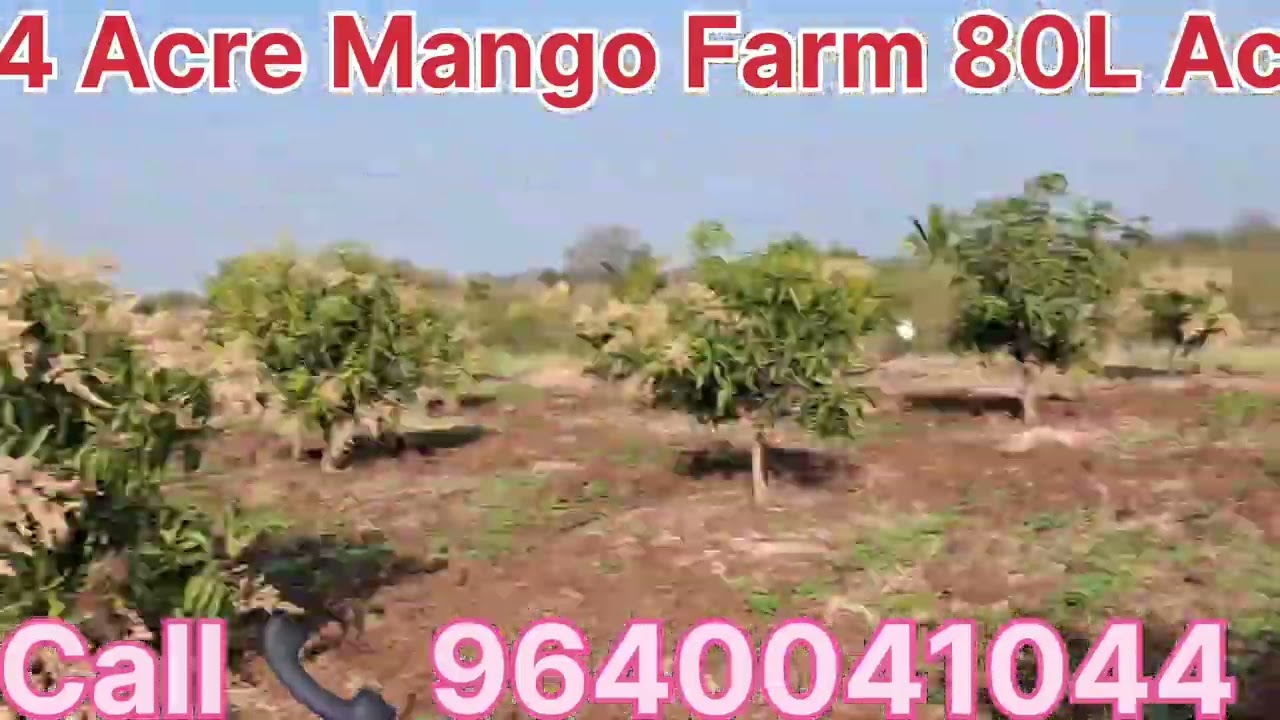 #low #cost #agriculture #land #for #sale #garden #farm #home #telangana #near #hyderabad #9640041044