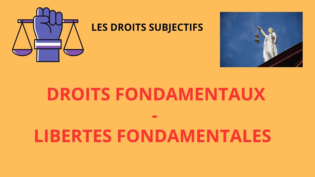 LES DROITS FONDAMENTAUX-LES LIBERTES FONDAMENTALES
