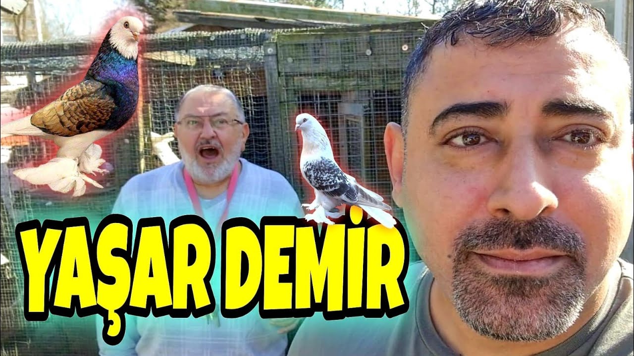 BİZE KUŞ UÇURDU!!! YAŞAR DEMİR