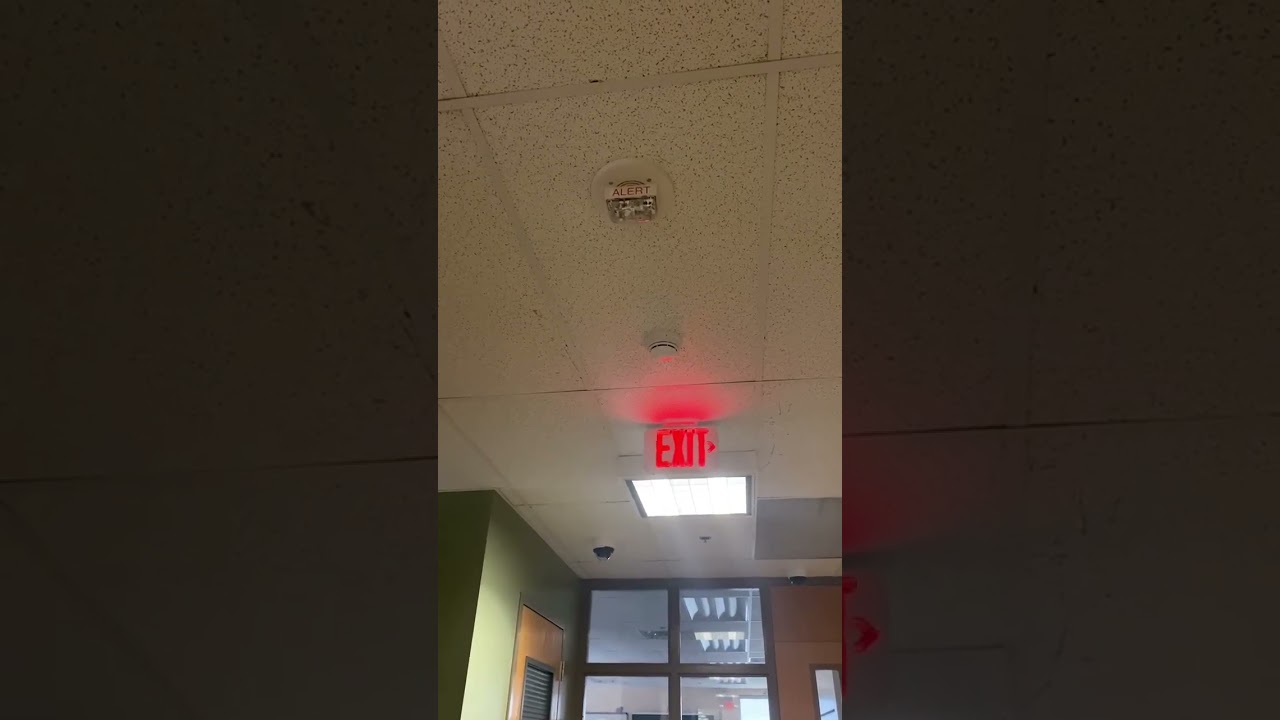 Simplex Truealert ES Speaker Strobe