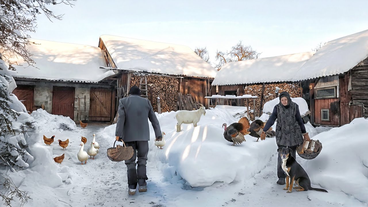 Rural life in snowstorms. And how grandma went to the city.
