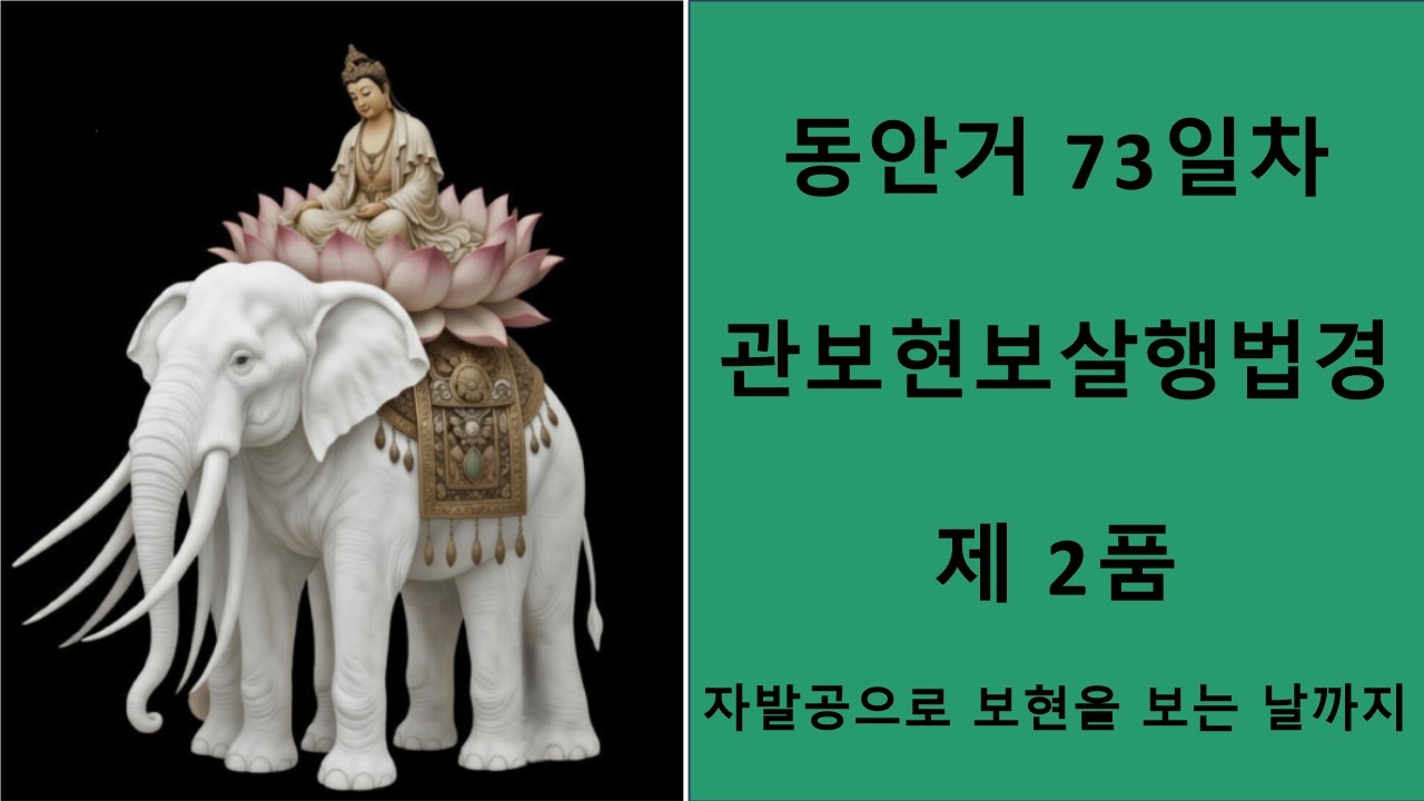 동안거 73일차 :   관보현보살행법경 2품