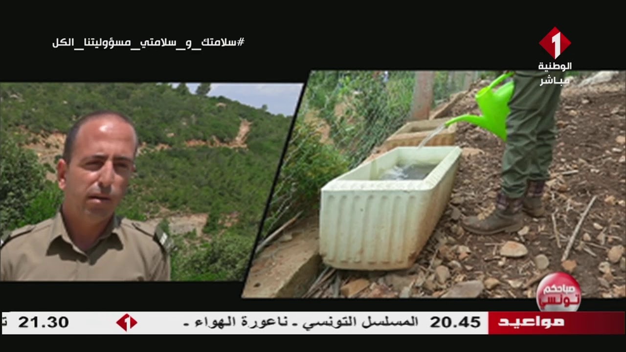 فقرة مصورة للحديقة الوطنية بجبل السرج