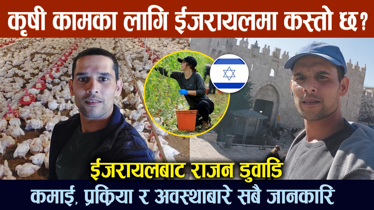 Pardeshi ko kura  EP 11 | Israel Agriculture work Visa for Nepali |  Rajan Duwadi From  Israel