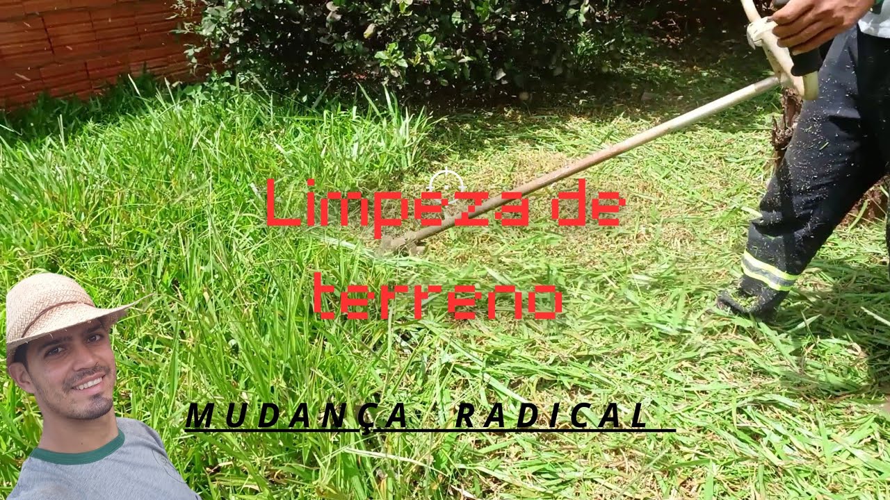 Roçada de Quintal #jardim #roçada#jardinagem #gardening