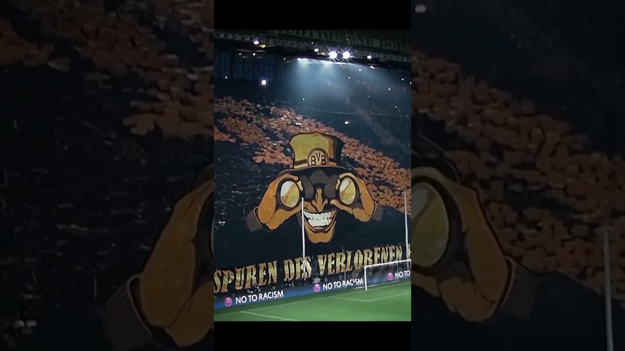 Borussia Dortmund tifos 💀✨ #borussiadortmund #tifos #hinchas #fans #tifos #psg