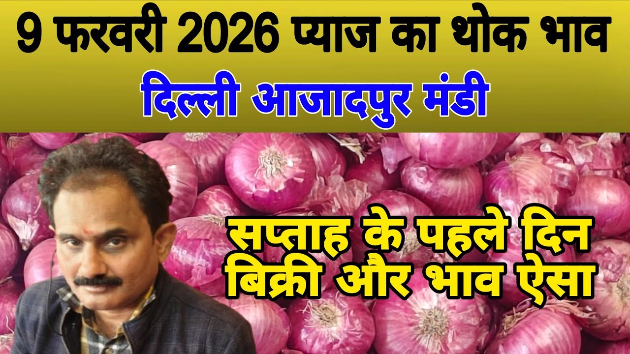 सप्ताह के पहले दिन बिक्री और भाव ऐसा | Today onion price | pyaj ka bhav #onionprice #pyaj #onion