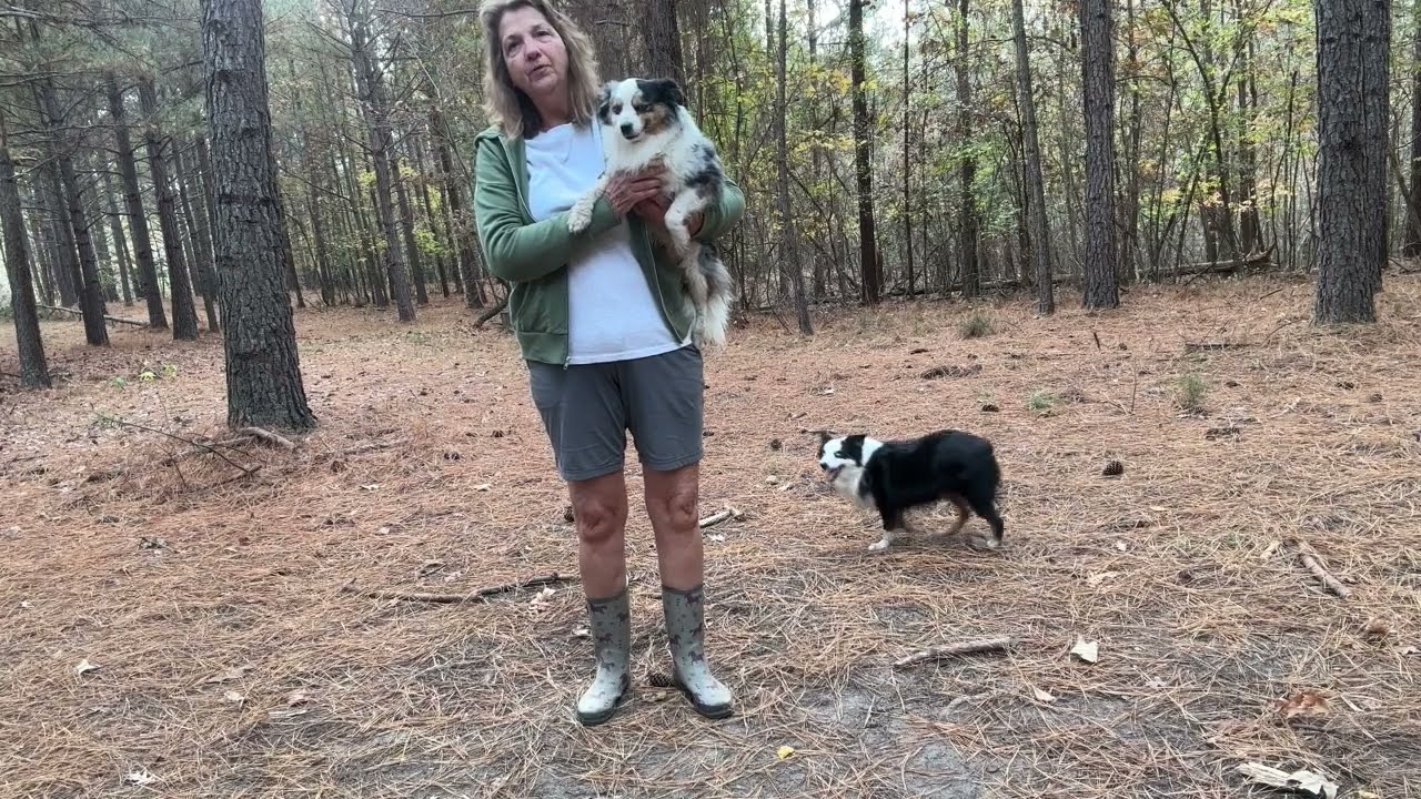 Stonnie Dennis said it best: Why Dogs Misbehave