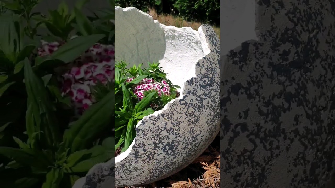 XXL Eggs from Concrete #shorts