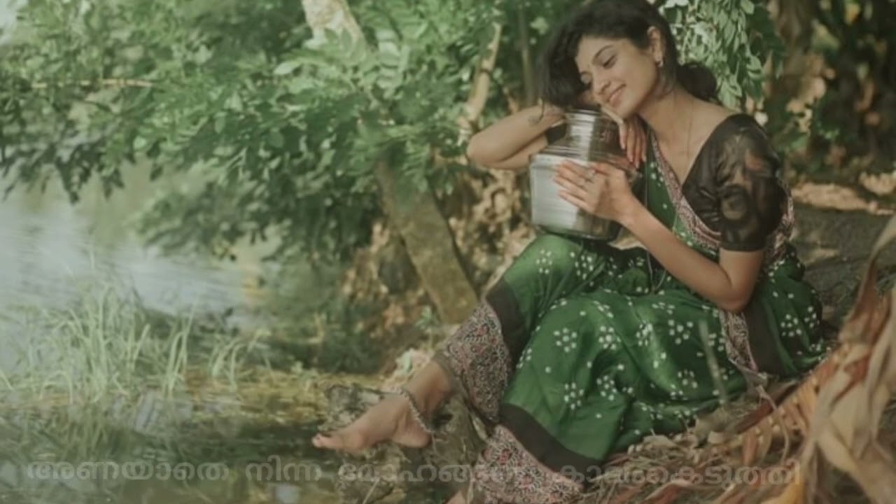 നീ വിതച്ച കനവിലൂടെ മലയാളം കവിത  || Nee vithacha kanaviloode malayalam poem