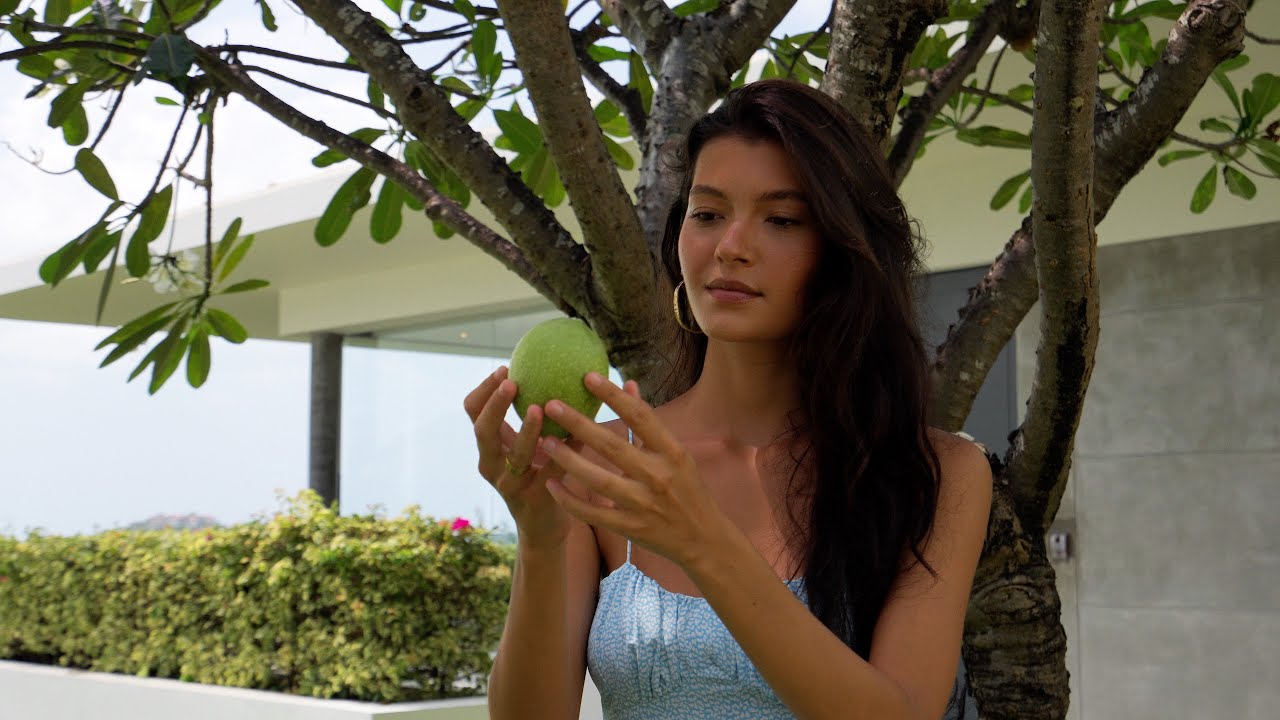 The White Lotus Season 3 Finale (Episode 8), by Samujana, Gary's residence!? Koh Samui, Thailand
