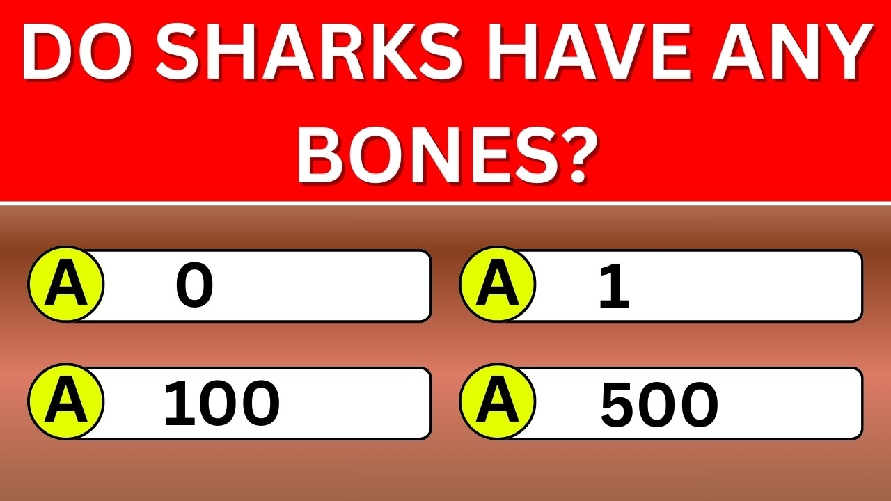 Can You Score 20+ Right? 30 General Knowledge Questions Await! | Wisdom Daily