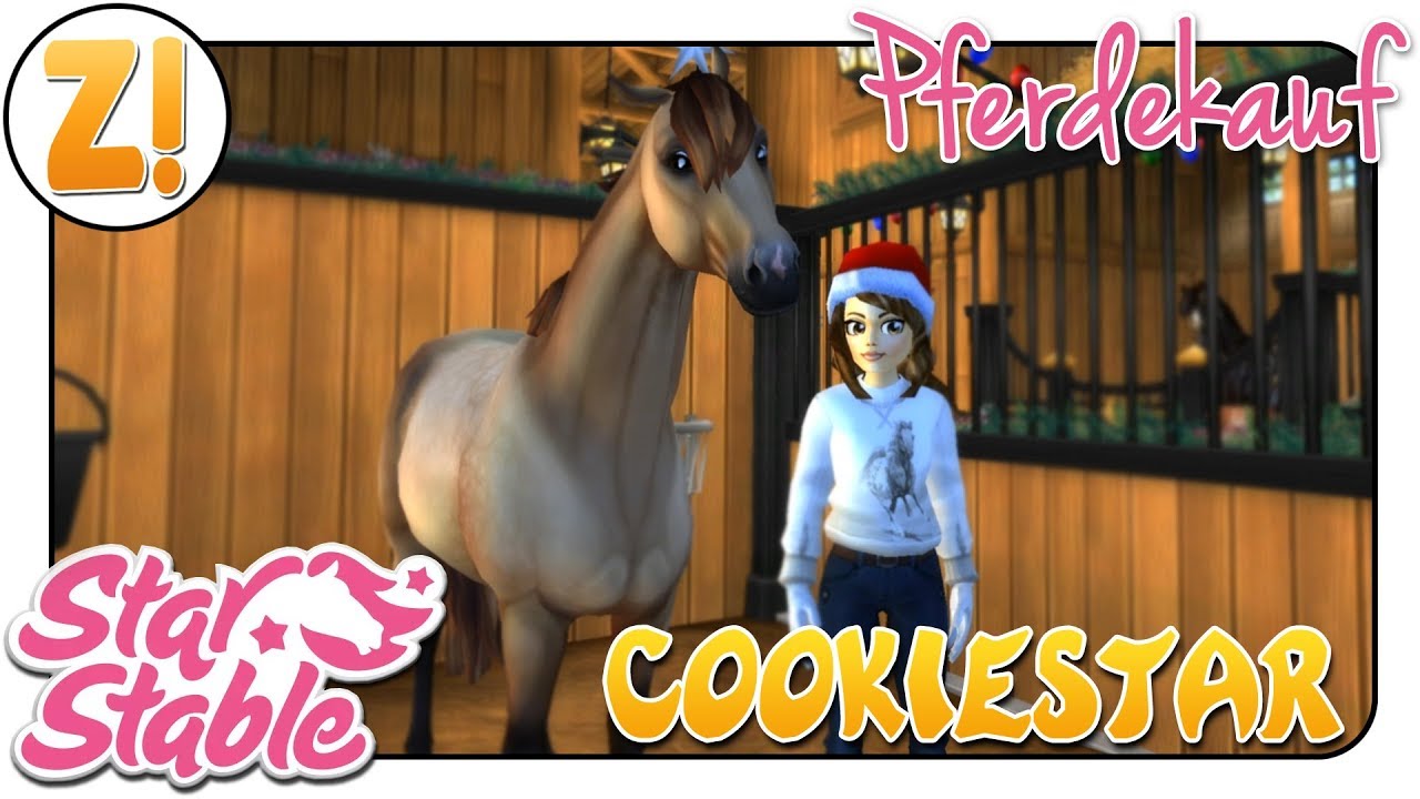 Star Stable [SSO]: Cookiestar [PFERDEKAUF] [DEUTSCH]