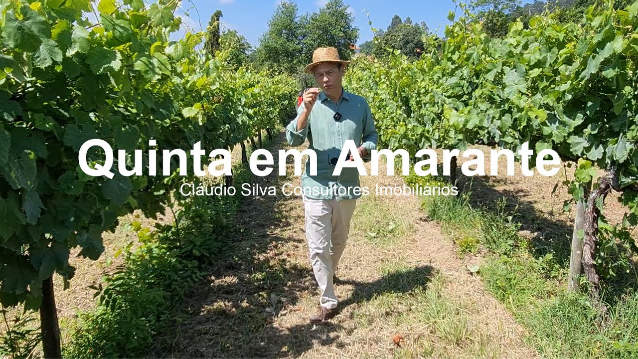 Quinta T6 com 2ha de vinha em Mancelos, Amarante #amarante #vinhoverde #quintas #turismorural