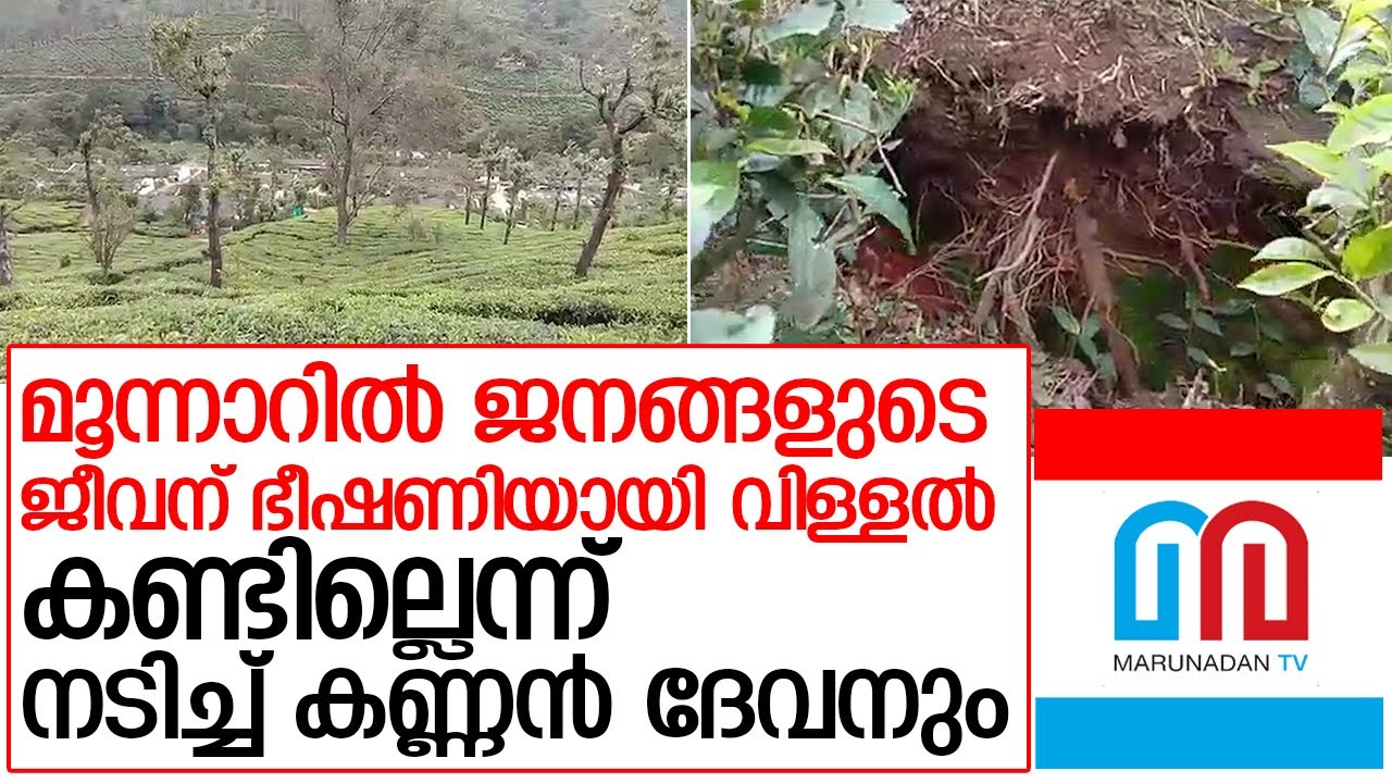 മൂന്നാറില്‍ നിന്നൊരു ഭീതിയുടെ കാഴ്ച I About munnar