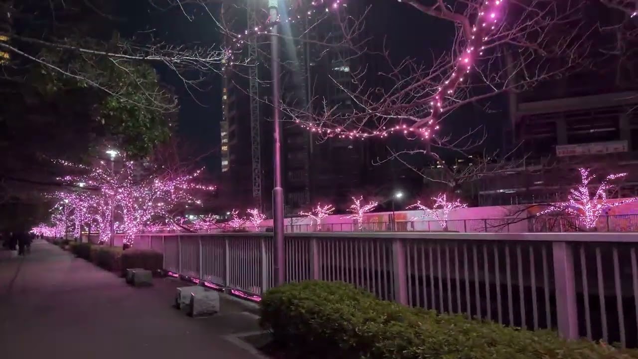 東京 大崎 夜に目黒川を散歩する 目黒川みんなのイルミネーション2025