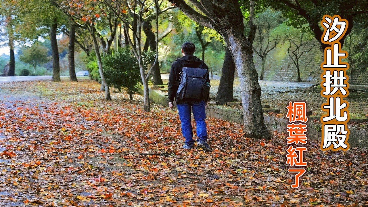 2020汐止拱北殿楓葉紅了！教你搭公車去台北最輕鬆的賞楓景點，一片紅褐色葉子地毯等你來取景