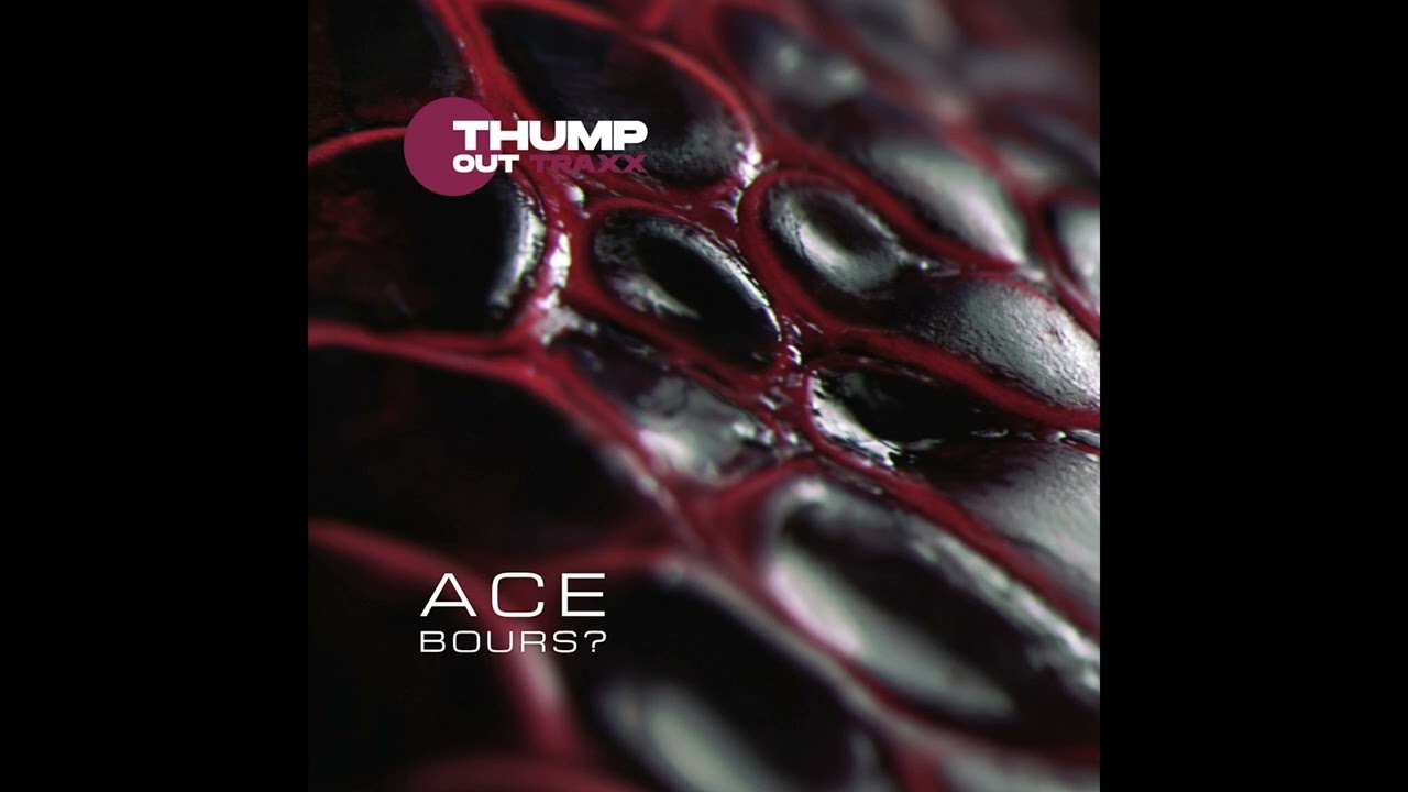 Bours? &mdash; Flash In [TOTEP001]