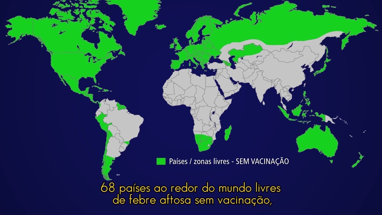 Video 4 - N&atilde;o existe risco zero para a febre aftosa