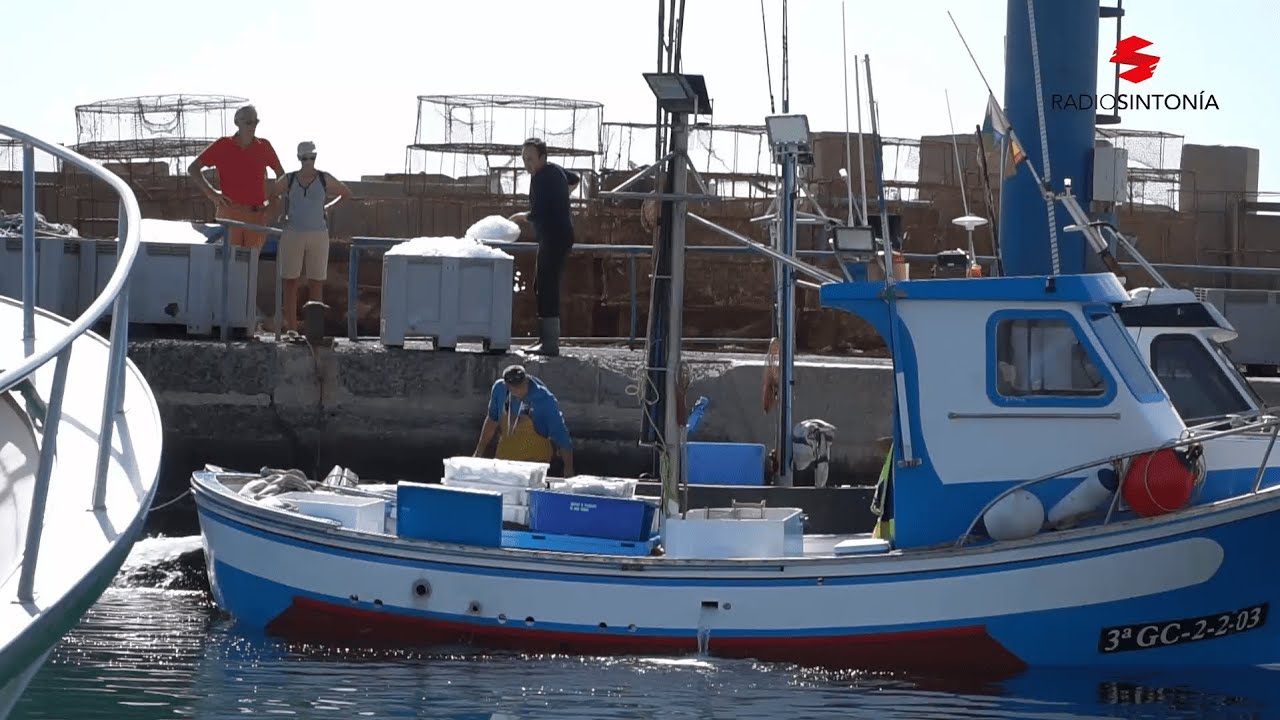 'La rosa de Fuerteventura', Lorenzo Brito, patrón mayor de la Cofradía de Pescadores de Gran Tarajal