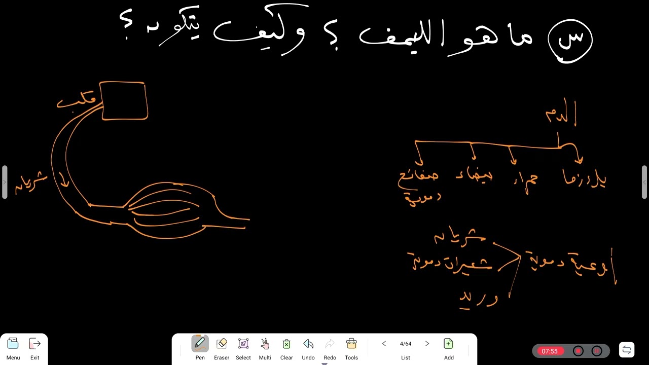 كورس المناعة | المحاضرة الثالثة | الأعضاء الليمفاوية بكل التريكات