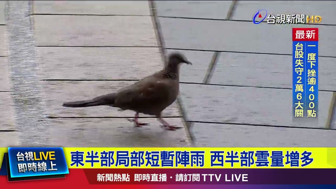 東半部局部短暫陣雨 西半部雲量增多【最新快訊】