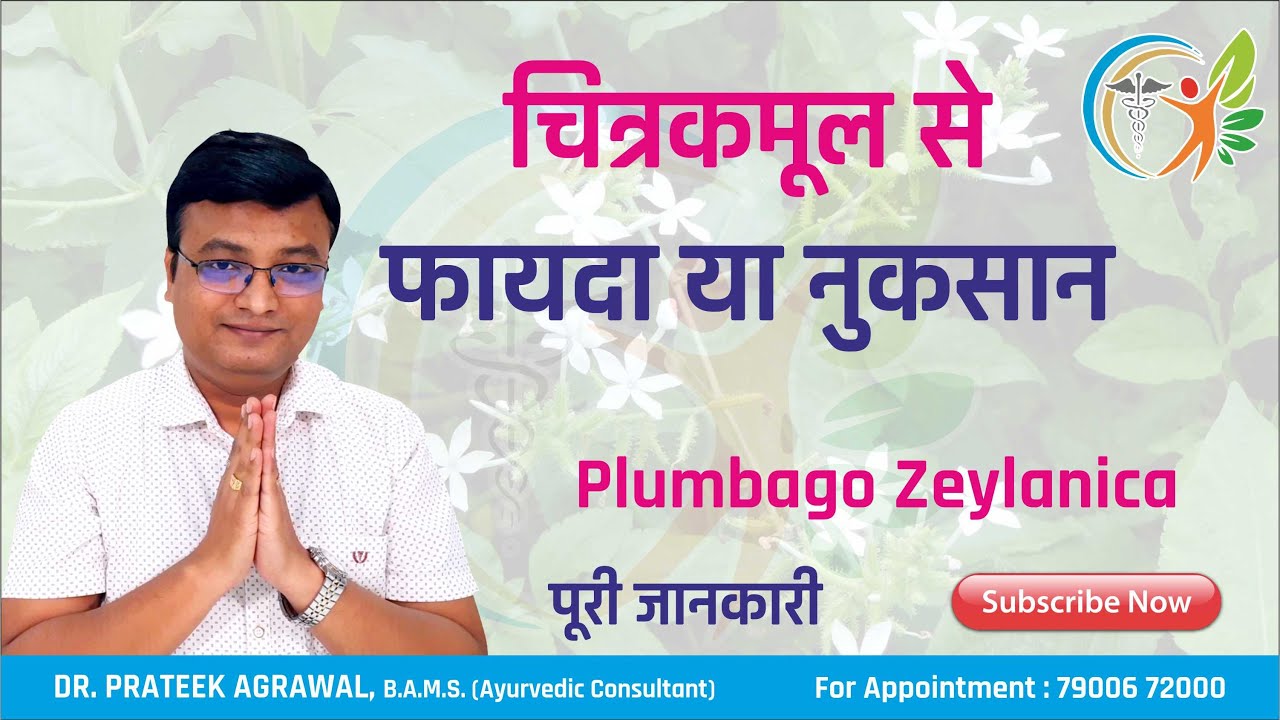 चित्रकमूल के बारे में पूरी जानकारी | Chitrak - Herb | Plumbago Zeylanica | Dr. Prateek Agrawal (239)