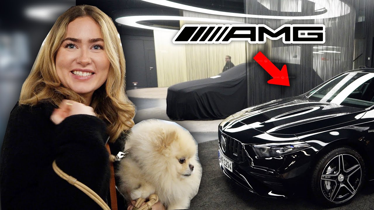 HATE wegen meinem NEUEN AUTO.. + erste Fahrt! | Sonny Loops