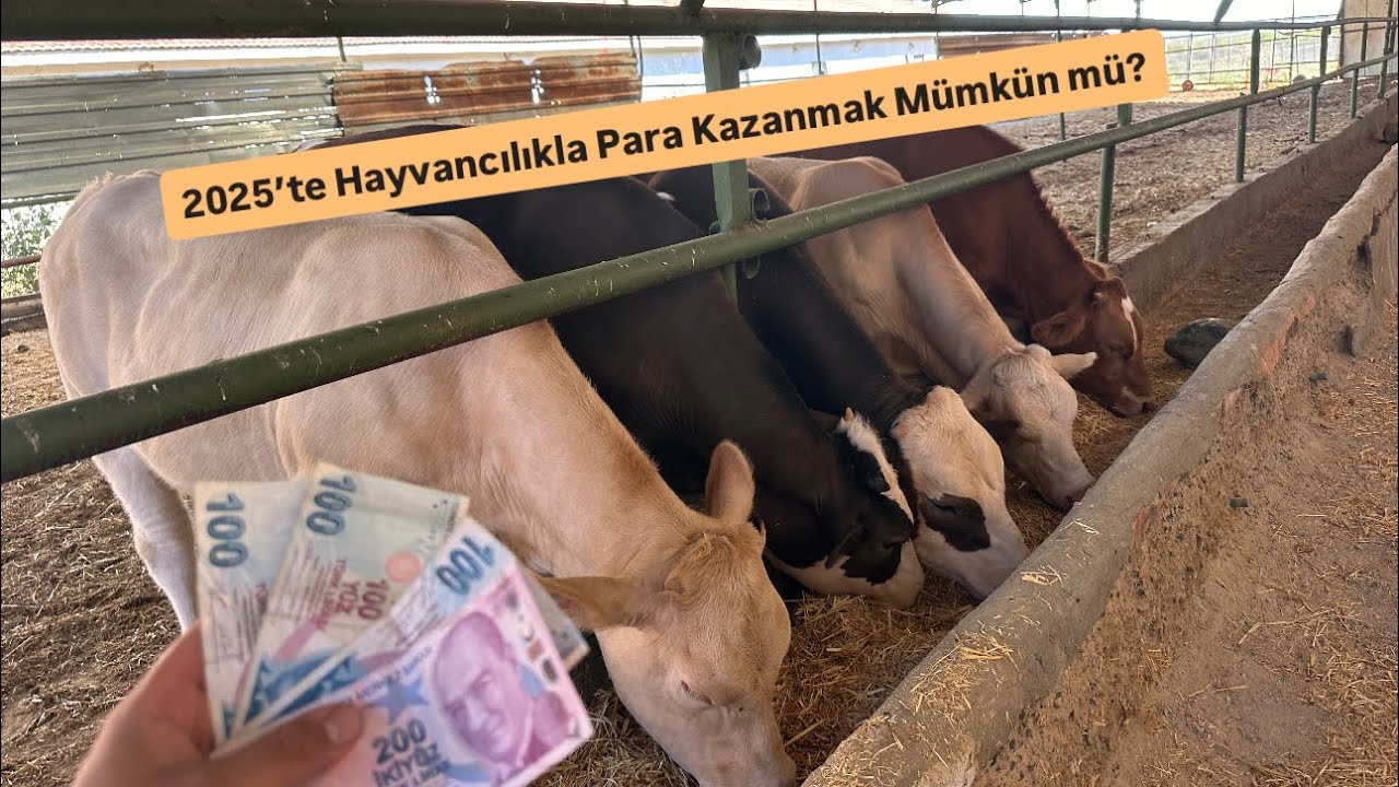 2025’te Hayvancılıkla Para Kazanmak Mümkün mü?