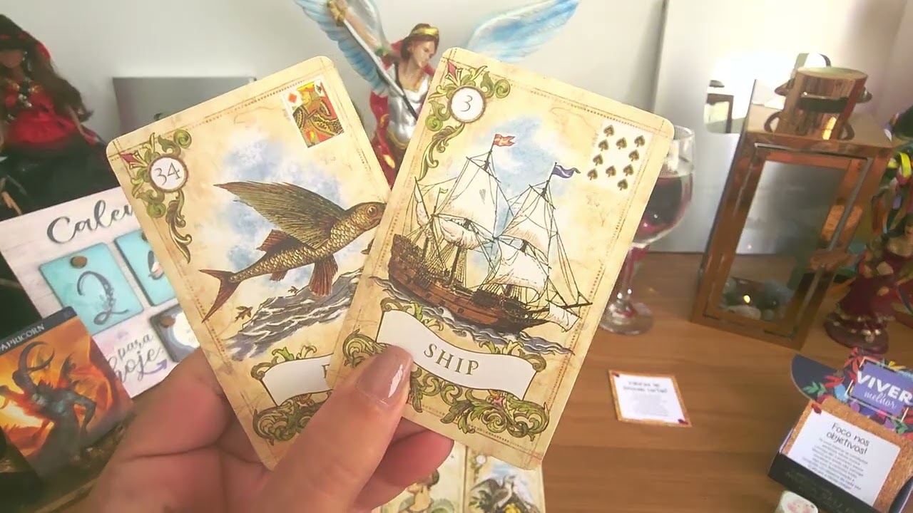 CAPRICÓRNIO ♑️ TERÇA-FEIRA 24/02
