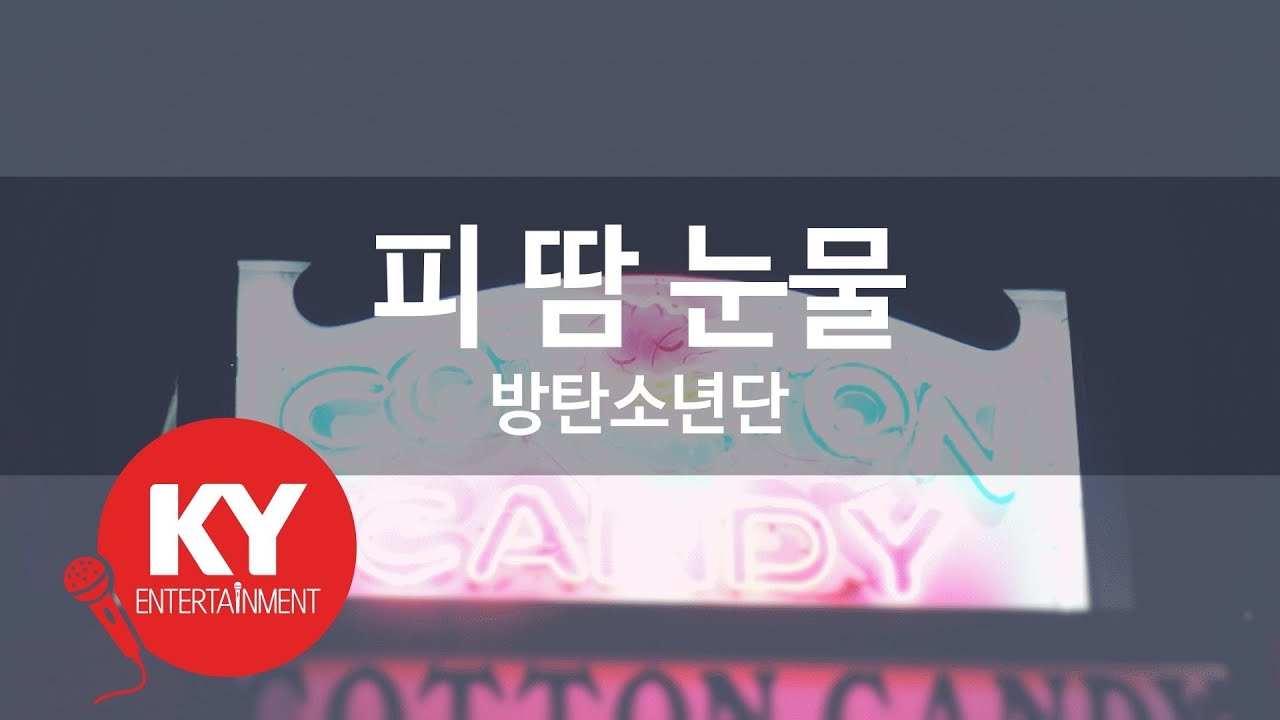 피 땀 눈물 - 방탄소년단(Blood Sweat & Tears - BTS) (KY.76073) / KY Karaoke