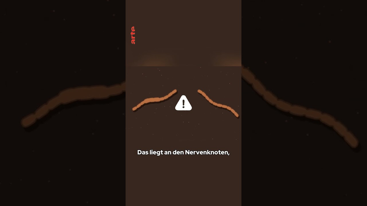 Kann man einen Regenwurm durchschneiden? 🪱 #artefamily