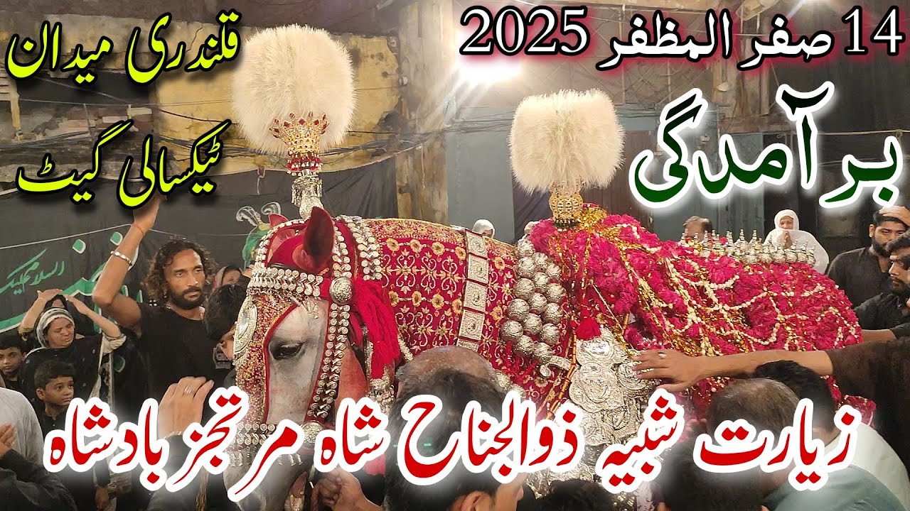 14 Safar 2025 Baramdagi Markazi Ziyarat Zuljanah Shah Murtajiz Badshah Qalandari Maidan Taxali Gate