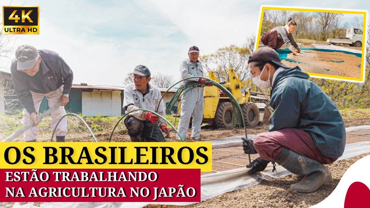 O Lado Rural do Japão que está atraindo os Imigrantes Estrangeiros