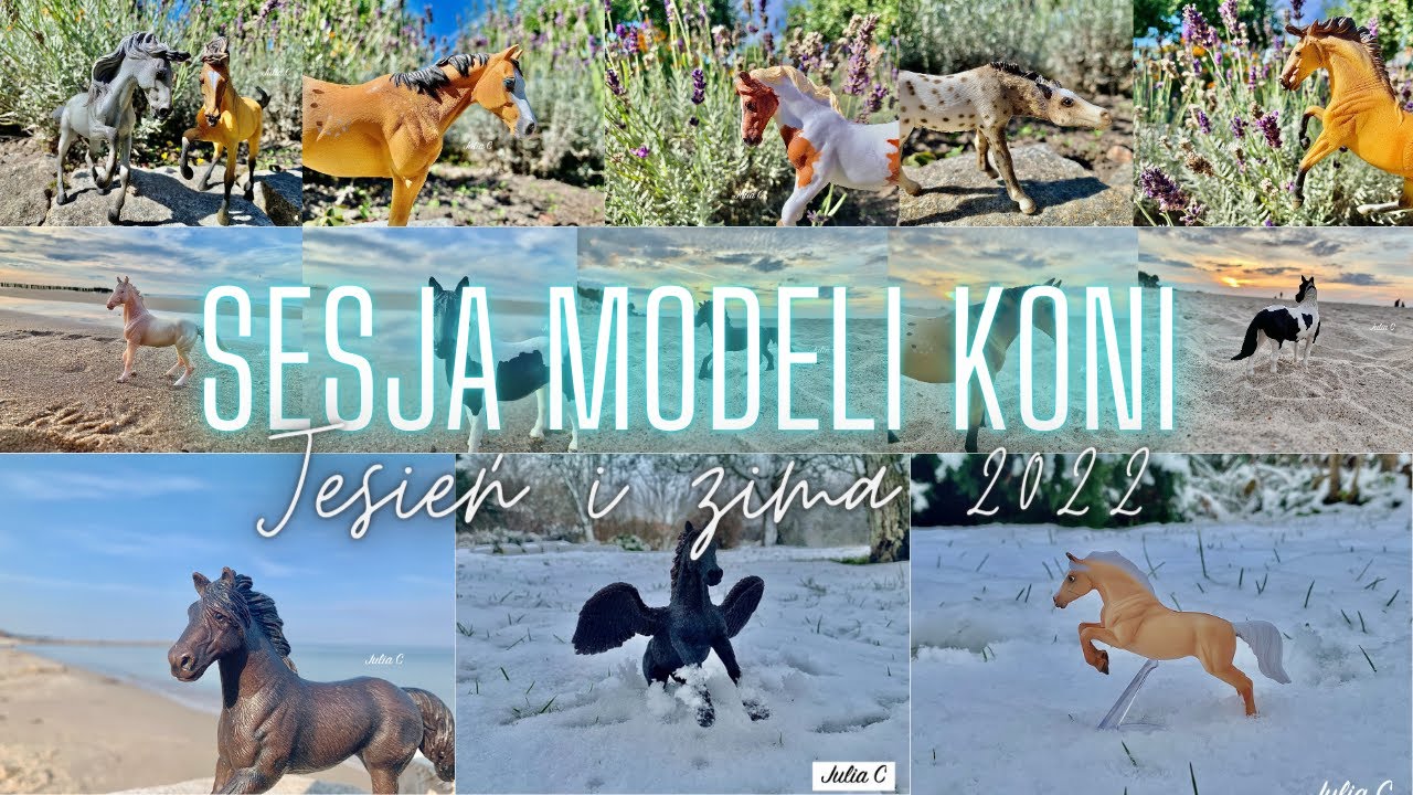 Sesja koni na dworze #37 - Jesień i zima 2022/23 🥰💗🐎❄️💜