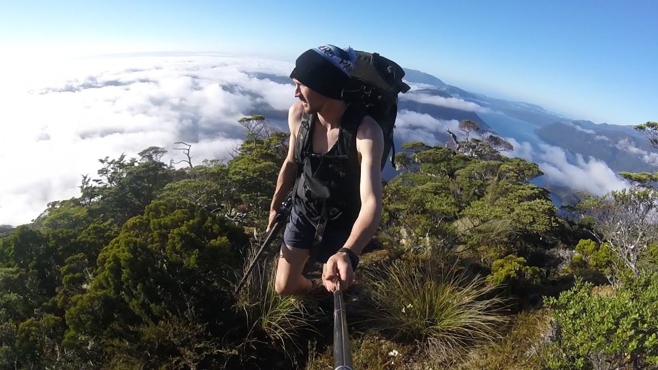 Wanderings of a Possum trapper