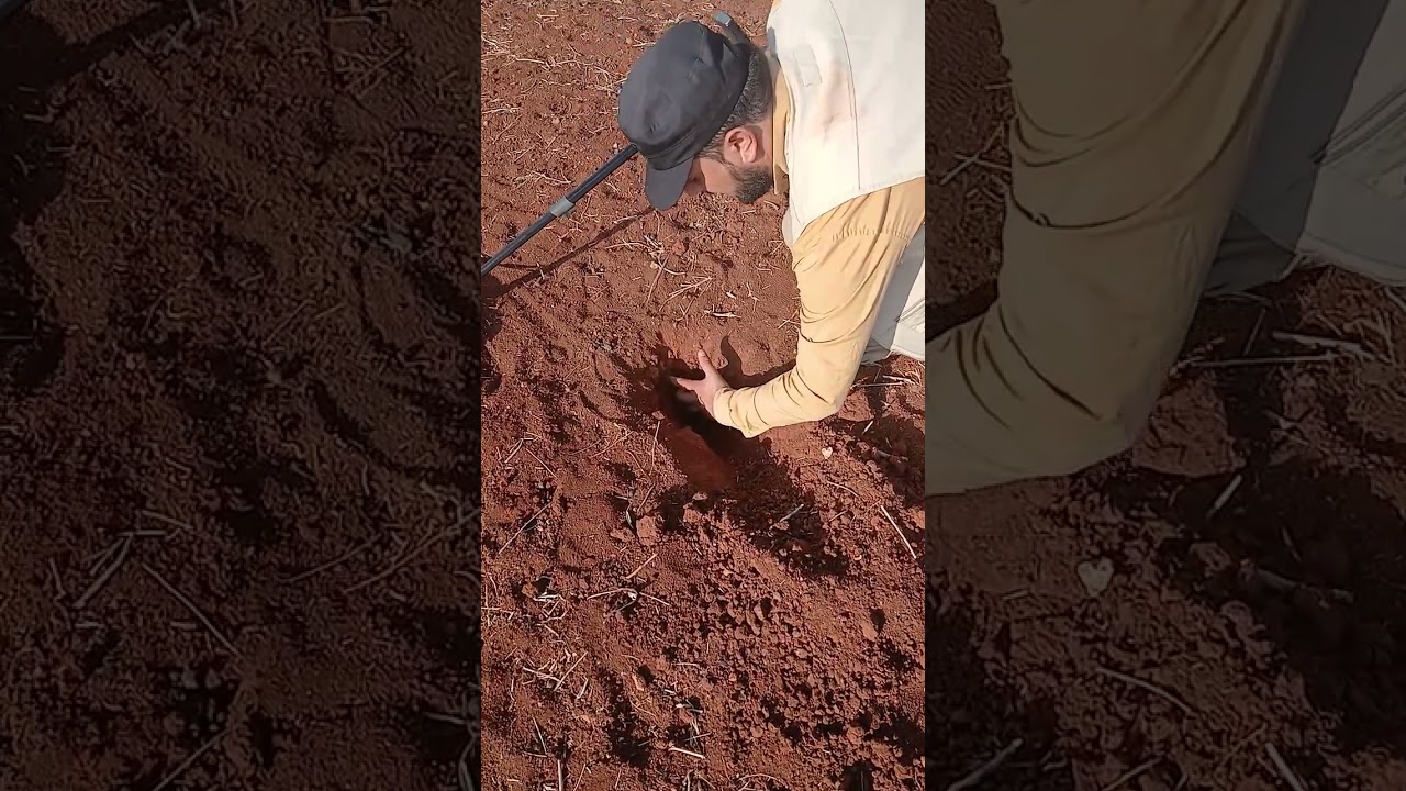 تجربة جهاز الديوس تو الفرنسي واعداده 