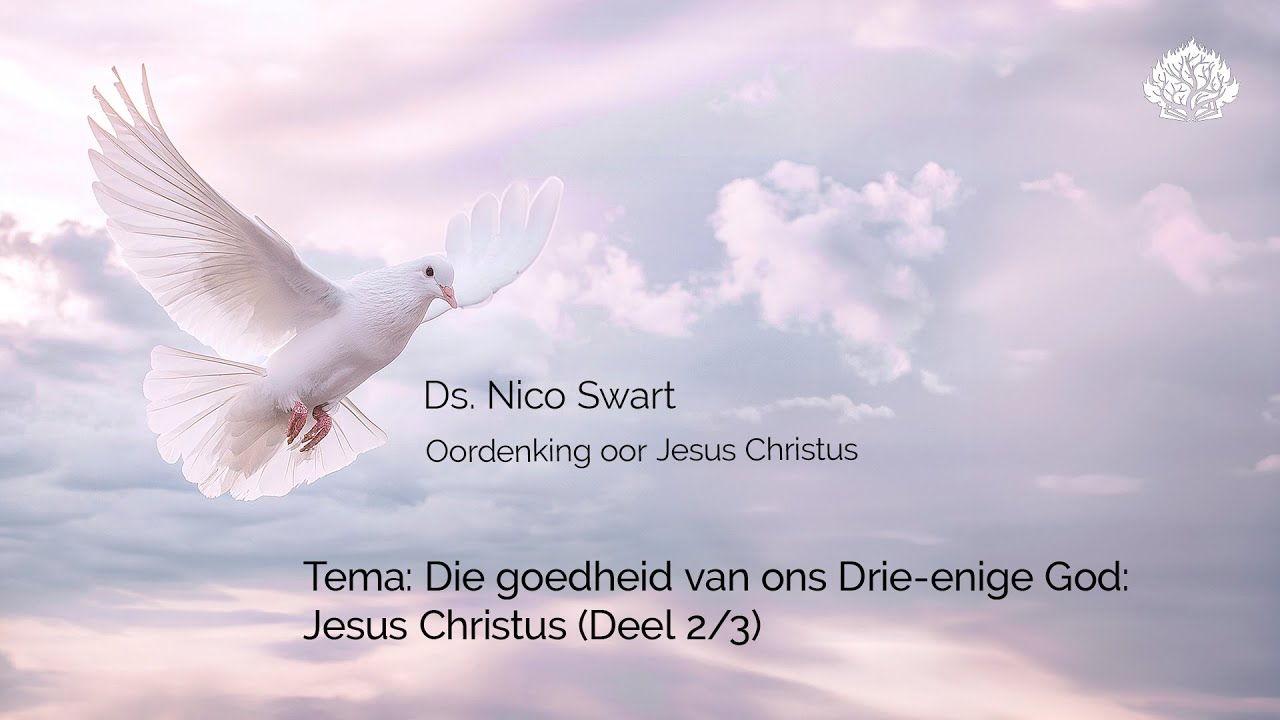 Die goedheid van ons Drie-enige God: Jesus Christus (Deel 2/3)