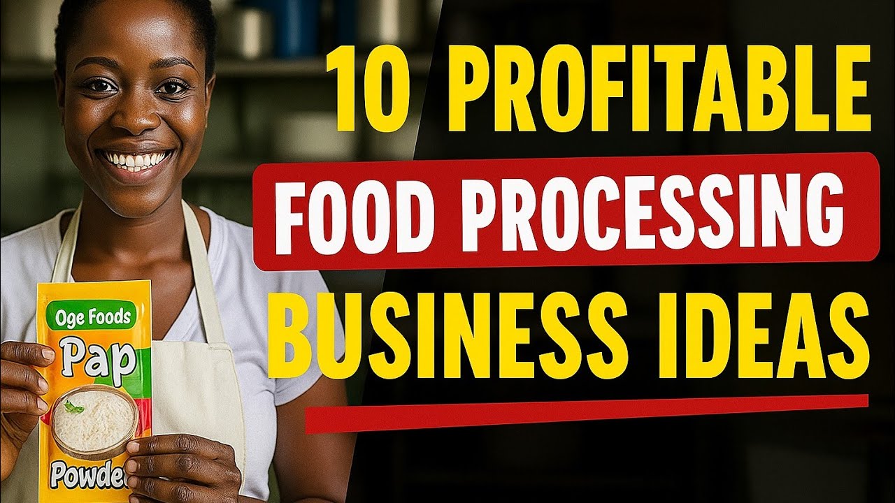 Top 10 Profitable Food Processing Ideas In Nigeria | You Can Start From Your Home.