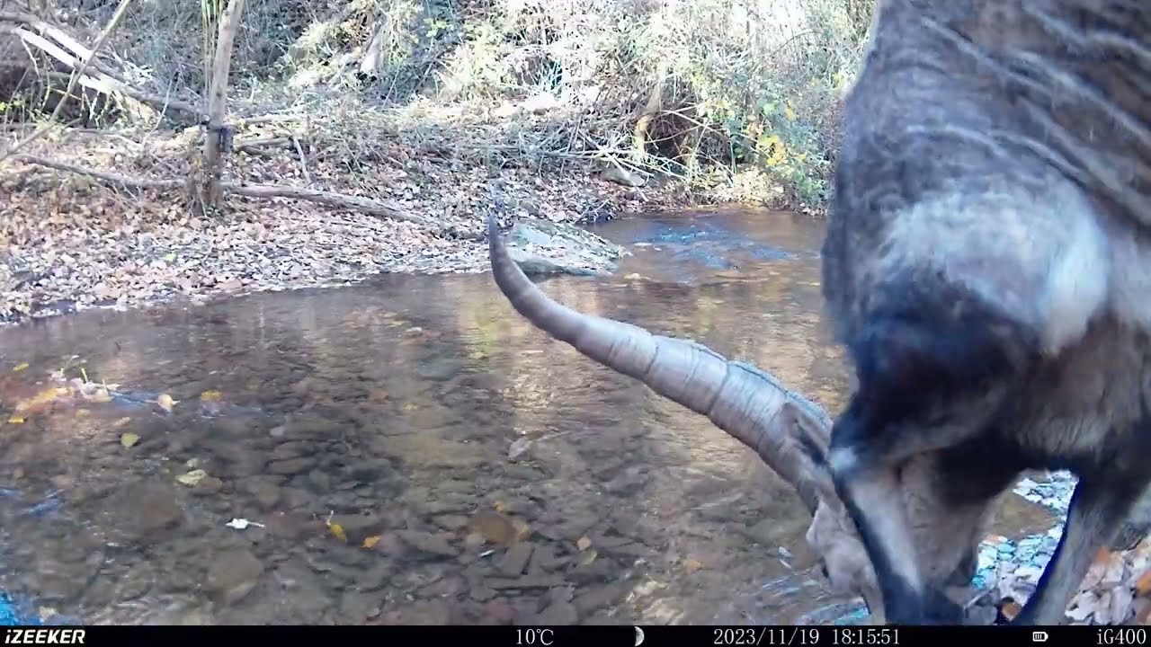 FOTOTRAMPEO. "Noviembre en el rio" parte 2. Vistabella (Zaragoza) 2023.