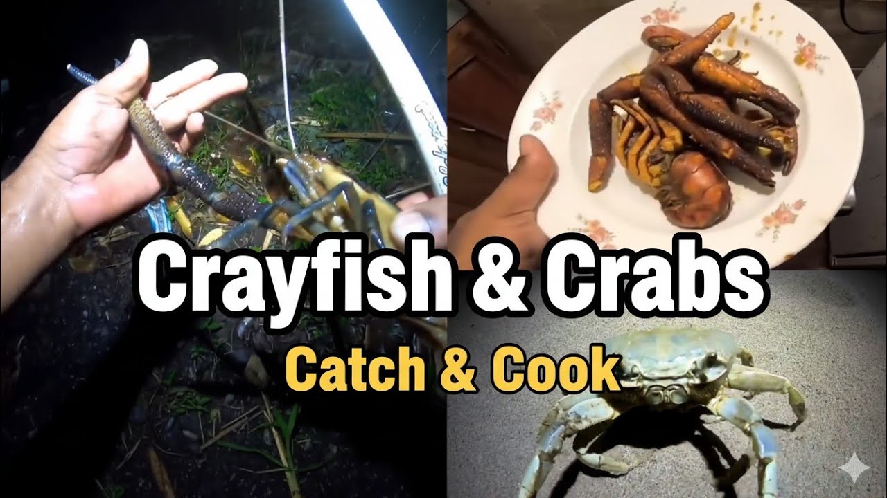 Giant river crayfish  & blue crab hunt / catch & cook.