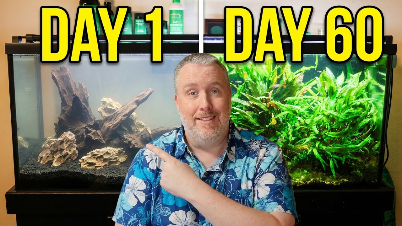 60 Days to a 