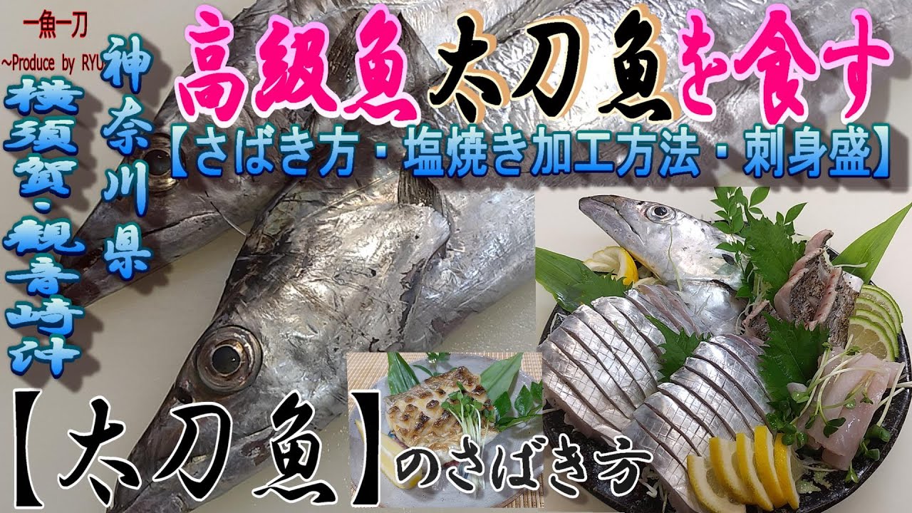 太刀魚釣り師必見！太刀魚のさばき方・３枚おろし・塩焼き加工・お刺身盛まで徹底解説。釣って楽しい、食べて美味しい！太刀魚の魅力を是非味わってください。