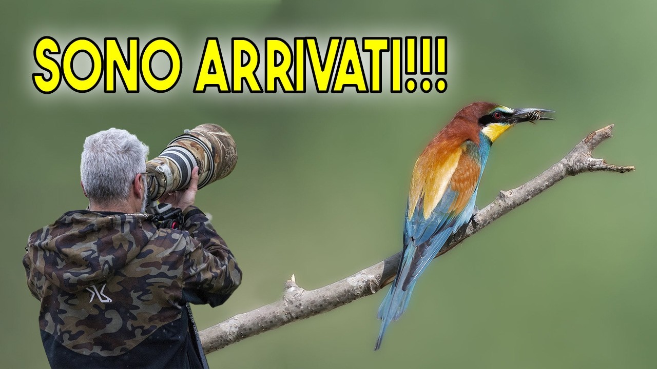 Fotografia Naturalistica | Il SOGGETTO del MOMENTO