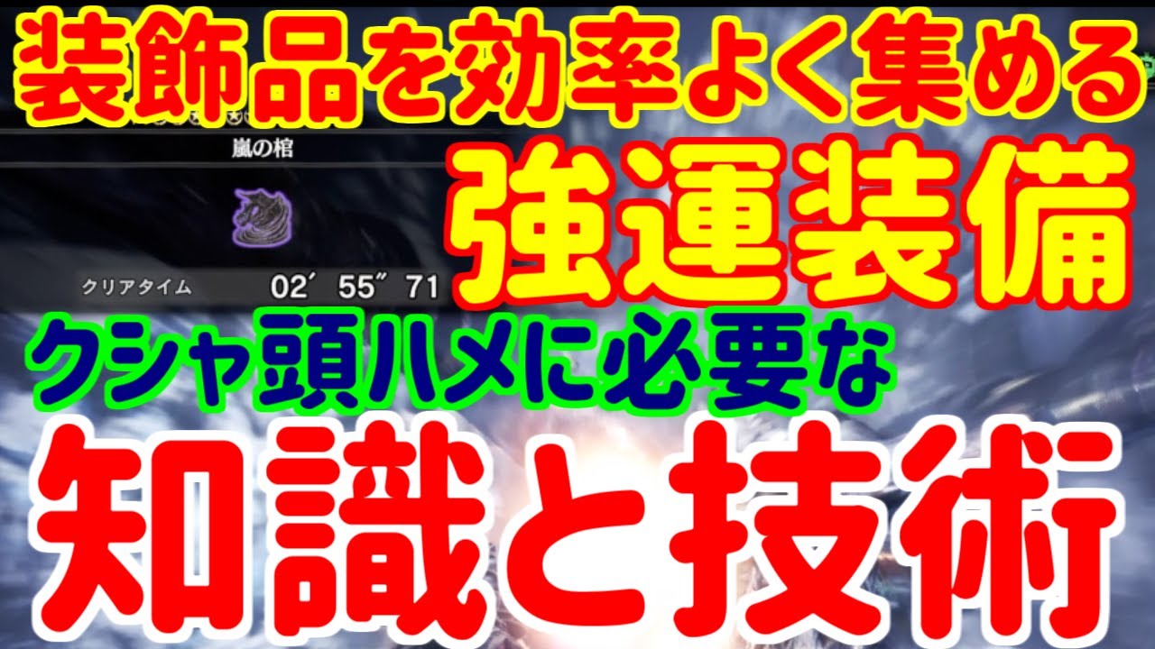 【クシャ頭ハメ講座】嵐の棺で装飾品を集める為の最効率を伝えたい【MR999×2】