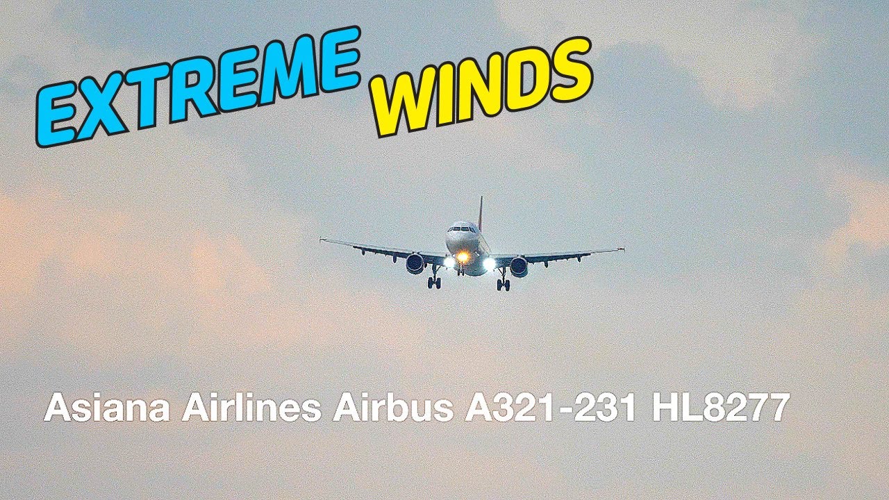 #4k_60p_asmr : Pilots BATTLE Extreme Winds at Jeju International Airport | Intense Landing& Takeoff