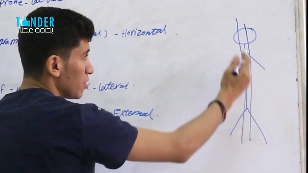 anatomical terms and positions - مسميات الاناتومى