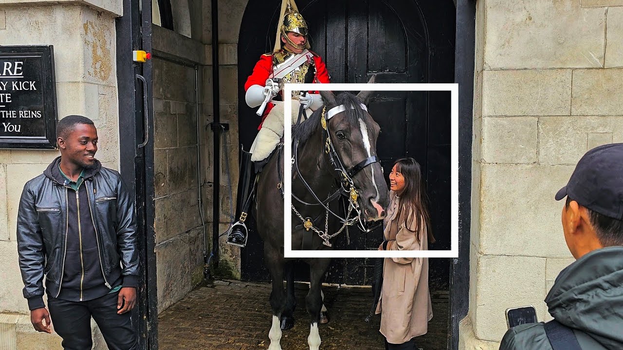 HORSE PUSHES TOURIST INTO THE BOX THEN GUARD TELLS HER TO GET OUT at Horse Guards!