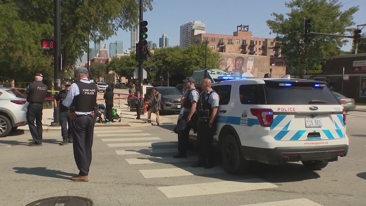 Woman fatally shot during fight in South Loop; offender in custody: police