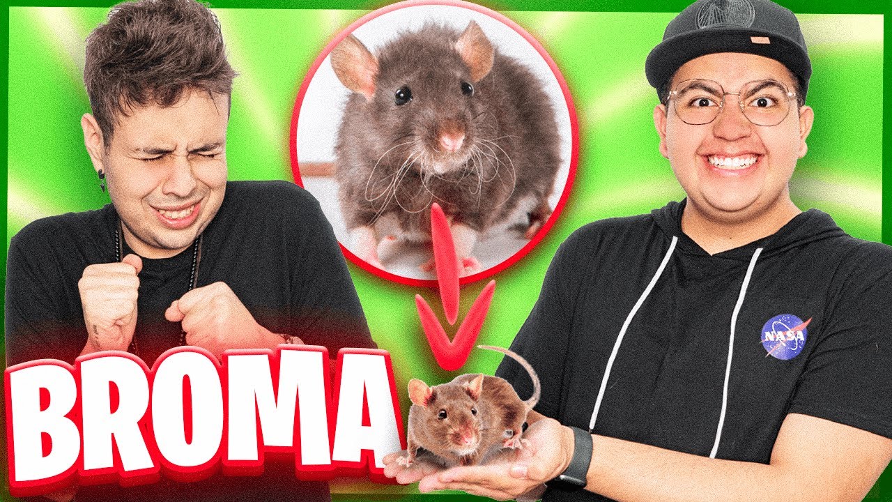 ENFRENTAMOS A NUESTRO MEJOR AMIGO A SU PEOR MIEDO 😰🐭